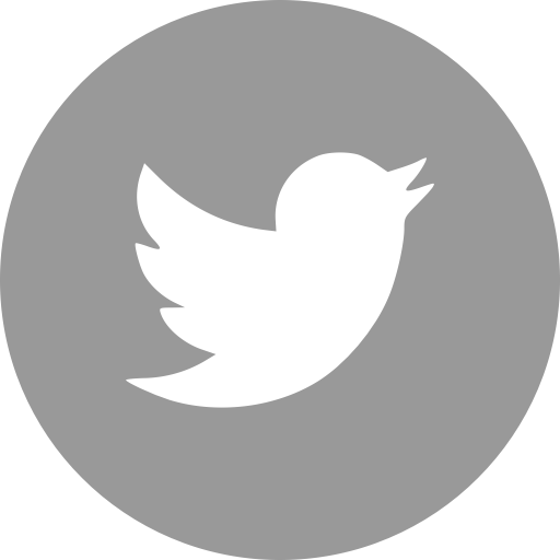 twitter icon grey