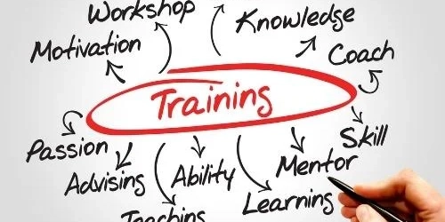 EEPLIANT3 Training