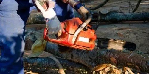 JAMACH14 - Professional Chainsaws